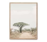 AlexandreHouse Quadro tree in the savana i_FASE5