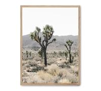 AlexandreHouse Quadro tree in the savana iv_fase5