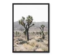 AlexandreHouse Quadro tree in the savana iv_fase5