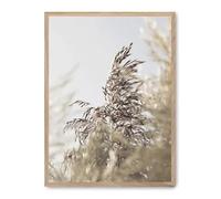Cuadro wild plants i_FASE5