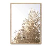 Cuadro wild plants ii_FASE5