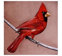 Alexisonfire - Old Crows Young Cardinals