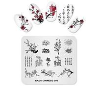 Alexnailart Nail Art Stamping Piatto Fiori Stile Modello Cinese Naturale Modello Immagine Piatto Nail Art Strumenti (CN005)