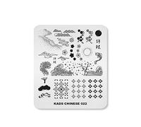 Alexnailart - Piastra in acciaio inossidabile per stamping unghie, stampini con immagini in stile cinese per Nail Art, manicure e decorazione fai da te (CN022)