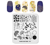 Alexnailart Professionale Stampigliatura Piatto Autunno Le foglie Ginkgo Versetto Modello Modelli Manicure stampino Strumento di stampa nail art