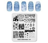 Alexnailart Professionale Stampigliatura Piatto Natale Modello Modelli Manicure stampino Strumento di stampa nail art