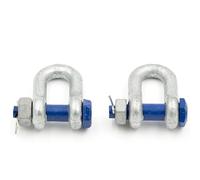 Alfa Logistik Grillo 4,75t Capacità di Carico 2 Pezzi con Bullone Oculare con Dado e Stecca - Grillo Acciaio a Forma Dritto DX - Grillo ad Alta Resistenza - Acciaio Zincato a Caldo Grillo