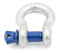 Alfa Logistik Grillo 8,5t Capacità di Carico 1 Pezzo con Bullone Oculare - Grillo Acciaio a Forma Riccia BW - Grillo ad Alta Resistenza - Acciaio Zincato a Caldo Grillo Rotondo