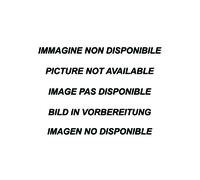 Alfa Romeo STELVIO 2.2 TD (209CV) (Euro 6D) 2020 Posteriore silenziato