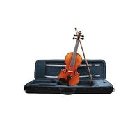 ALFAAL 4/4 Violino in Legno massello di Abete Rosso Prestazioni Professionali Insegnamento del Violino con Custodia per Strumenti a Corda ad Arco