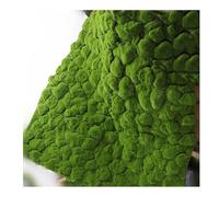 ALFAAL Artificiale Sintetica di Muschio Simulazione Muschio Lichene Muschio Sintetico Mini Micro Paesaggio Hotel Negozio Decorazione Murale (Color : A, Size : 100x100cm/39.37x39.37in)