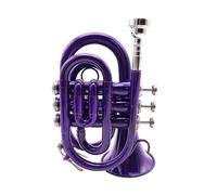 ALFAAL B Tromba Piatta Laccata Oro B Tromba Piatta da Palma B Tromba Piatta da Tasca Tromba da Palma Strumento A Tromba (Color : Purple)
