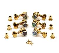 ALFAAL Chitarra Folk-elettrica Completamente Chiusa Con Manopola A Corda Aperta Oro E Argento Intarsiato Nero Abalone Crostacei Bianchi Con Chiusura A Coda (Color : 6)