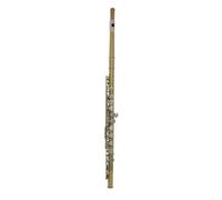 ALFAAL Flauto Strumento Flauto Oro Argento Foro Chiuso Fessura C - Flauto strumentale per Studenti Principianti con Custodia