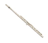 ALFAAL Flauto Strumento Flauto Professionale con Forte penetrazione Flauto C-Tune nichelato Flauto a 16 Fori