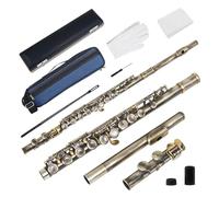 ALFAAL Flauto Strumento Flauto traverso Professionale a 16 Fori Chiusi con Chiave C con Strumento Musicale da Concerto(Antique Bronze)