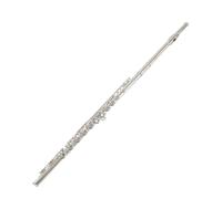ALFAAL Flauto Strumento Strumento Flauto Placcato in Argento per Principianti Professionale Entry-Level a 16 Fori in Do