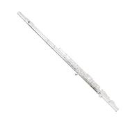 ALFAAL Flauto Strumento Strumento per Flauto 16 Fori Foro Chiuso Placcato Argento C Chiave Esame principiante Professionista