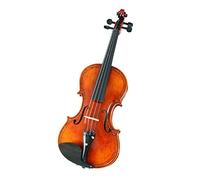 ALFAAL Kit custodia per corde per ponte ad arco IPE con retro in un pezzo di violino fatto a mano di dimensioni 4/4 Principiante Violino
