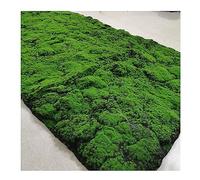 ALFAAL Muschio Stabilizzato Parete Artificiale del Prato delle Briofite Prato Verde Artificiale Famiglia Cortile Giardino per Matrimoni Prato Decorativo con Muschio Artificiale (Color : E, Size : 10
