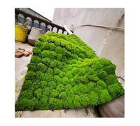 ALFAAL Pianta Artificiale Finta Siepe Pannello, Lichene di Muschio Simulato Prato Verde Artificiale Decorazione del Fondo di Nozze del Paesaggio del Cortile Color : A-4PCS, Size : 1x1m/39.4x39.4in