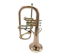 ALFAAL SIB Rame Fosforato Oro con Custodia Bocchino Trombe Strumenti Musicali