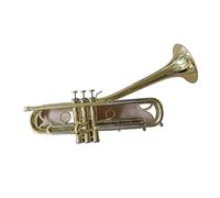 ALFAAL Strumenti Musicali A Tromba Professionale in Ottone Placcato Argento di qualità, Tromba in Si Bemolle, con Custodia in Pelle