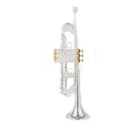 ALFAAL Strumenti Musicali Professionali Tromba Piccola in SIB Argento Chiave Dorata con Custodia