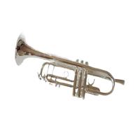 ALFAAL Strumenti Musicali Professionali Tromba Piccola in SIB Argento Chiave Dorata con Custodia (Color : Silver)