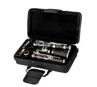 ALFAAL Strumento Clarinetto Professionale Clarinetto 17 Tasti Che Cadono Melodia B/Materiale del Corpo del Tubo in ABS Clarinetto YCH-300