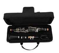 ALFAAL Strumento Clarinetto Professionale Clarinetto in MIB Corpo in ABS Chiave in Argento Nichel Strumenti Soprano S3