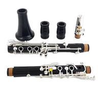 ALFAAL Strumento Clarinetto Professionale Clarinetto Professionale in Sequoia Un Clarinetto Placcato Oro in Palissandro Argentato/Ebano(Ebony)