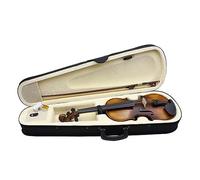 ALFAAL Strumento per Violino 4/4 Esegui Vestito per Principianti di Violino per La Pratica Quotidiana Pannello di Abete Rosso Essiccato all'Aria (Color : Violin)