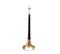 ALFAAL Suona Beginner's Boutique Strumento Ebano D Key (Color : 01)