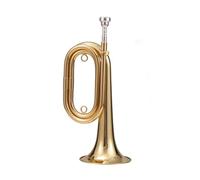 ALFAAL Tromba Corno Si Bemolle sol Divisione Chiave Corno Strumento Musicale Tromba Ottone Regolabile (Color : 02)