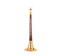 ALFAAL Tromba in Ottone Etnico di Livello Professionale per Strumenti Musicali F Suona in Mogano Vecchio Piccolo Professionale