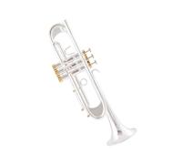 ALFAAL Tromba in SIB Lacca Dorata di qualità Tromba Placcata in Argento Strumenti Musicali in Ottone Tromba di Tipo Composito (Color : Silver)