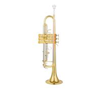 ALFAAL Tromba in SIB SIB Strumenti Musicali A Tromba Professionali in Ottone Placcato Argento con Custodia in Pelle