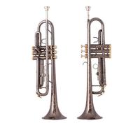 ALFAAL Tromba in SIB Strumenti Musicali in Ottone Giallo Placcato Oro Nichel Nero Tromba in SIB Strumenti Musicali Argento (Color : BK Nickel Gold)