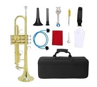 ALFAAL Tromba in SIB Strumento in Ottone Piatto Tromba in Corno di Grosso Calibro con Bocchino A Scatola Accessori per Strumenti Musicali (Color : 010)
