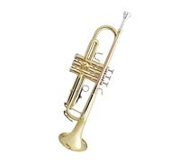 ALFAAL Tromba Professionale Gruppo per Principianti di Studenti con Tromba in Ottone a Tre Toni in Si bemolle(Color:Brass)