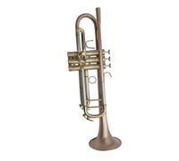 ALFAAL Tromba Professionale Guanti Professionali in Scatola per Strumenti Musicali in Metallo Laccato in Ottone con Tromba in SIB