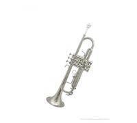 ALFAAL Tromba Professionale Strumento a fiato per Test delle Prestazioni dello Strumento a Tromba in Argento Ottone nichelato