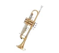 ALFAAL Tromba Professionale Strumento a Tromba in Rame Bianco con tonalità in Si bemolle per Principianti da Utilizzare per Le Prestazioni degli esami di Grado