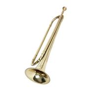 ALFAAL Tromba Professionale Strumento a Tromba Musica prescolare Strumento a fiato Tromba Principianti con Guanti
