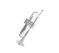 ALFAAL Tromba Professionale Strumento a Tromba Si bemolle Esame delle Prestazioni Strumento a fiato Occidentale Laccato