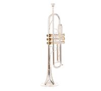 ALFAAL Tromba Professionale Strumento a Tromba Tromba Monopezzo in Si bemolle intagliata a Mano placcata in Argento Tromba in Si bemolle intagliata a Mano
