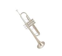 ALFAAL Tromba Professionale Strumento per Trombone Tromba Tromba Professionale per Principianti B Autunno Laccato Oro con bocchino per Tromba(Color:Silver)