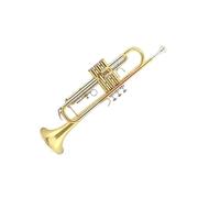 ALFAAL Tromba Professionale Strumento Professionale a Tromba in Ottone Tromba B Piatto Laccato Oro Performance cornetta Strumento a fiato Occidentale