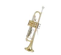 ALFAAL Tromba Professionale Strumento Tromba per Principianti in Si bemolle Professionale a Tre Colori in Ottone